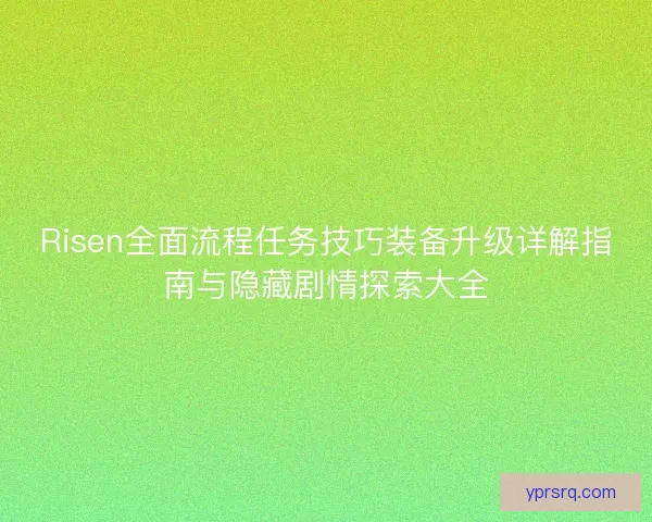 Risen全面流程任务技巧装备升级详解指南与隐藏剧情探索大全