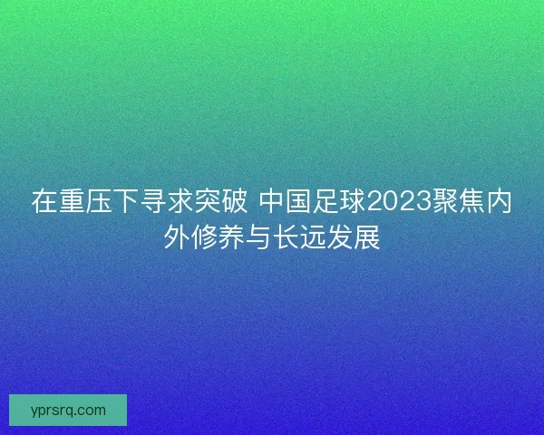 在重压下寻求突破 中国足球2023聚焦内外修养与长远发展
