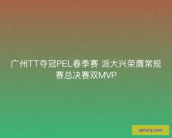 广州TT夺冠PEL春季赛 派大兴荣膺常规赛总决赛双MVP